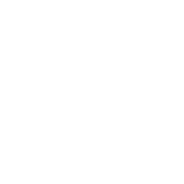 Grupo 1179